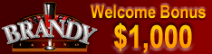 Play Online Casino Games